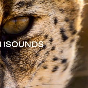 Earthsounds | Apple TV+