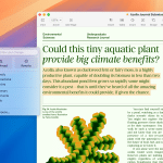A computer screen on macOS Sequoia 15.3 Beta 2 displays a research document titled "Could this tiny aquatic plant provide big climate benefits?" with highlighted text below. The left sidebar offers editing options like Correct, Rewrite, and Summarize for seamless content refinement.