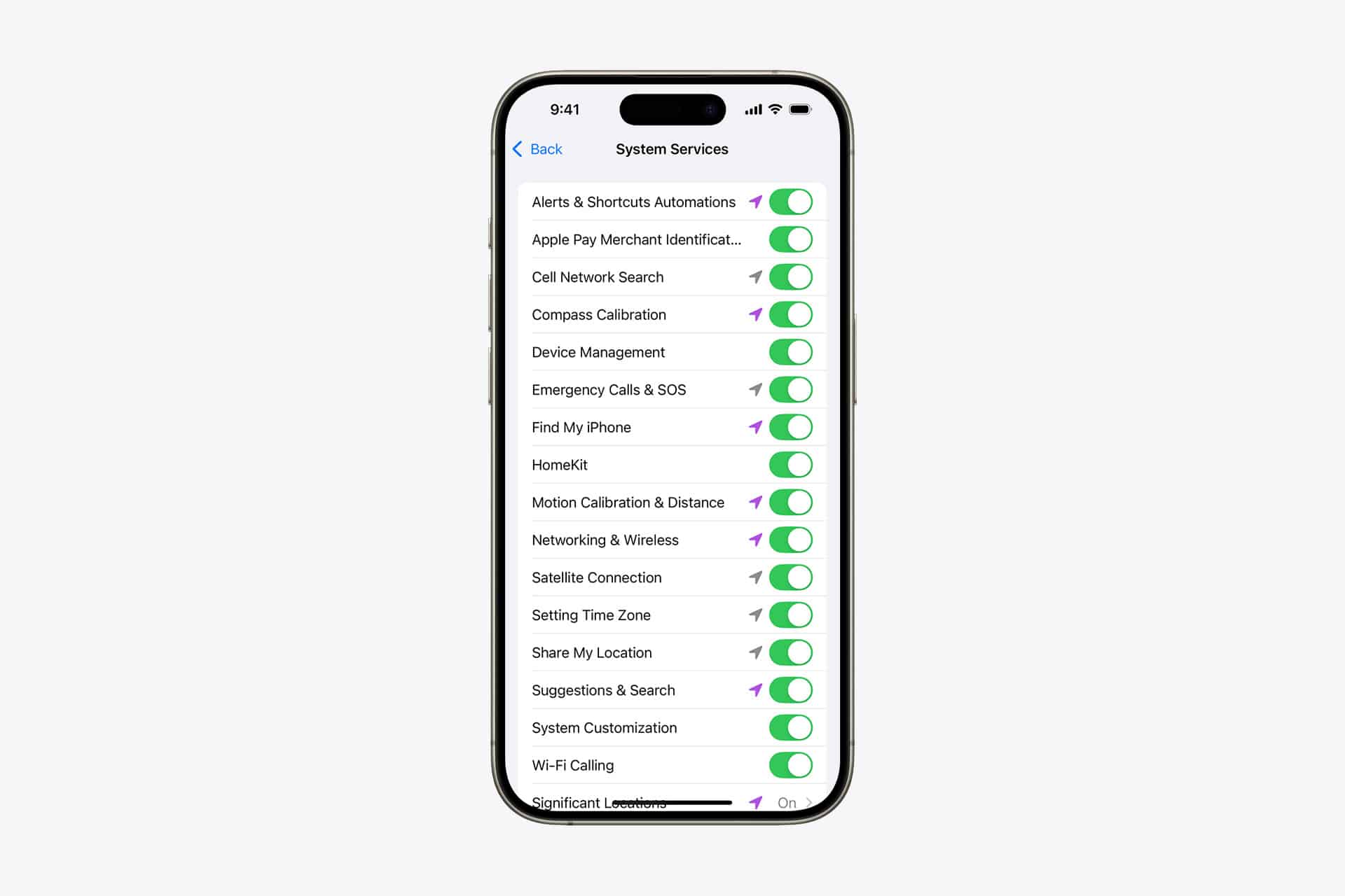 An iPhone screen displays the "System Services" settings menu, featuring various system services like location and network options, with most toggles switched on—highlighting iPhone App Permissions management.